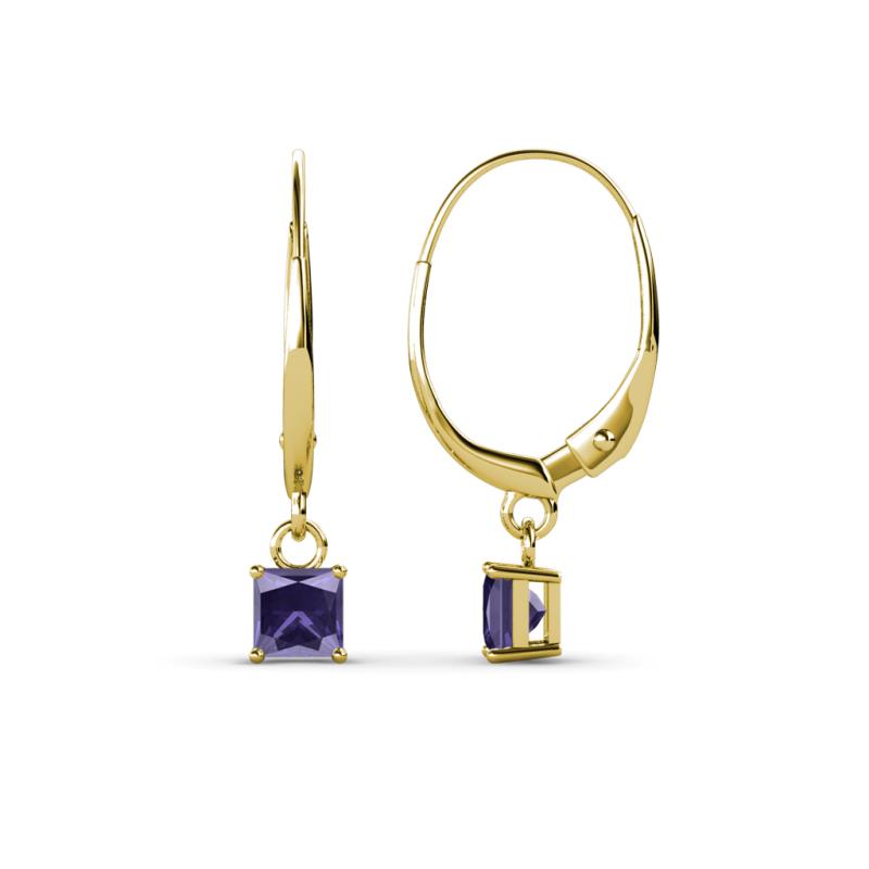 Qiana Iolite (4mm) Solitaire Dangling Earrings 