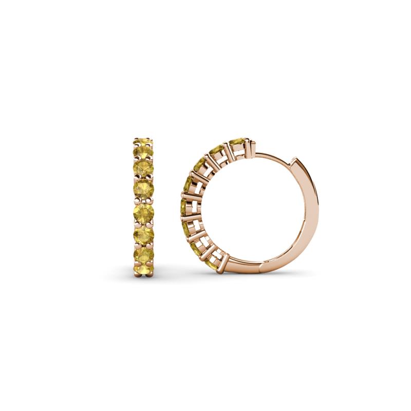 Raya Round Citrine Hoop Earrings 