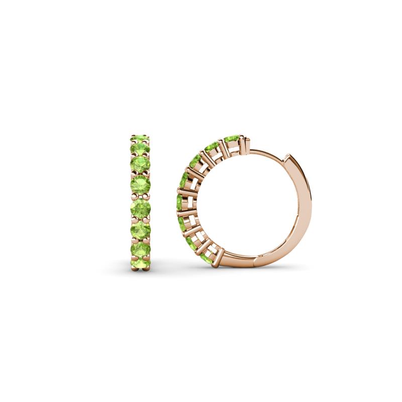 Raya Round Peridot Hoop Earrings 
