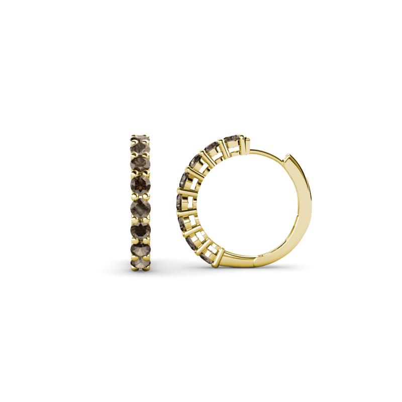 Raya Round Smoky Quartz Hoop Earrings 